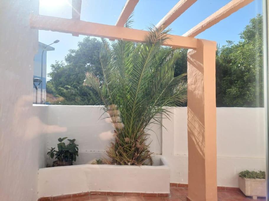 Piscina, Wifi, Patio Con Vistas Apartment Tarifa Bagian luar foto