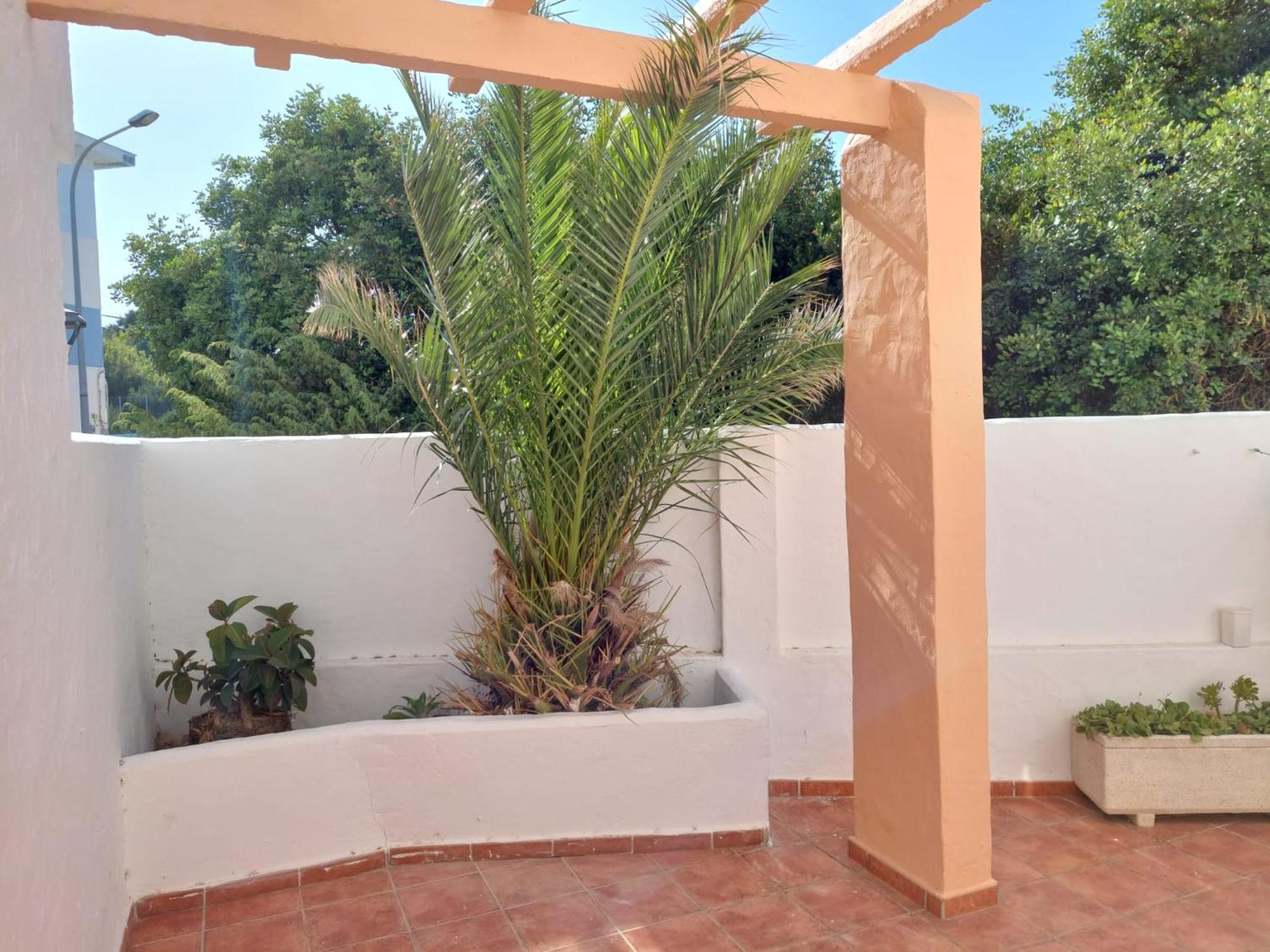 Piscina, Wifi, Patio Con Vistas Apartment Tarifa Bagian luar foto